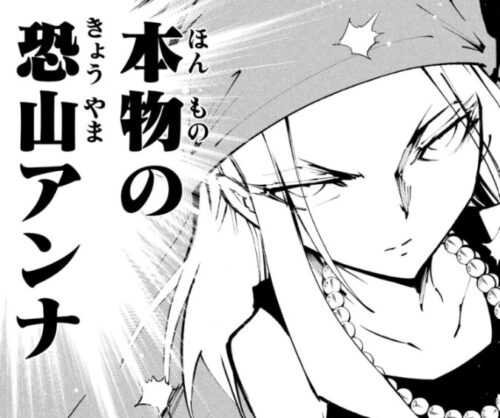 シャーマンキング 麻倉葉とアンナが死亡したのはなぜ 生き返る可能性は シャーマンキング 麻倉葉とアンナが死亡したのはなぜ 生き返る可能性は